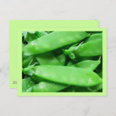 生春豆 ポストカード (正面/裏面)