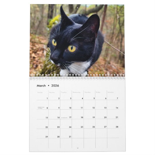 生暦で1年 カレンダー (3月 2026)