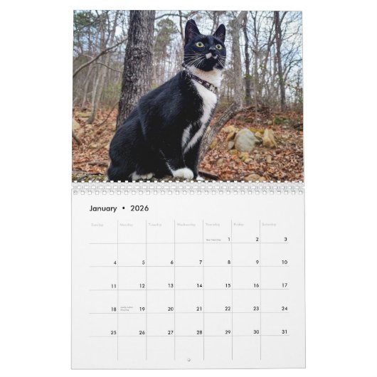 生暦で1年 カレンダー (1月 2026)