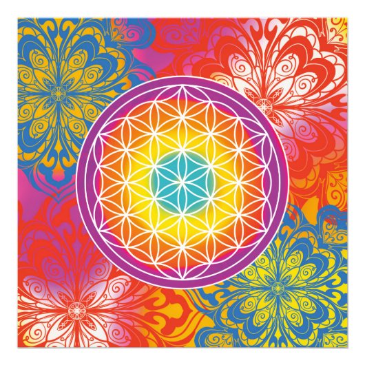 生曼荼羅禅の花 フォトプリント            (正面)