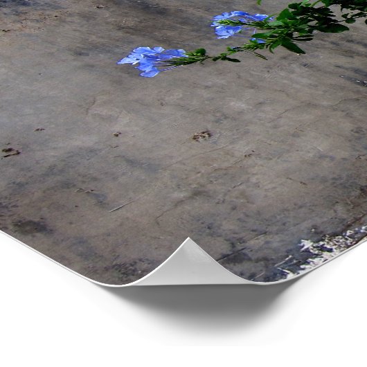 生死 ポスター (角)