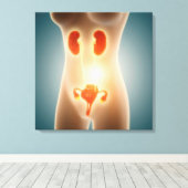 生殖器官を持つ女性体の解剖学 キャンバスプリント (インサイチュ (ウッドフロア))