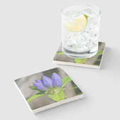 生殖器 ストーンコースター (横)