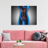 生殖機能を有する女性体のX線像 キャンバスプリント (インサイチュ (リビング))