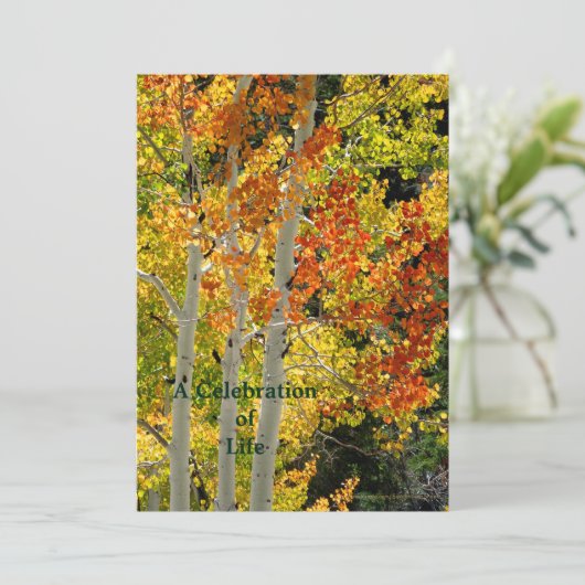 生活お祝い秋の三《植物》アスペン 招待状 (スタンド正面)