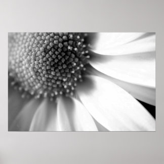 生活ステージ ポスター