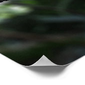 生物学とは？ポスター ポスター (角)