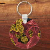 生物学における先生学生への贈り物 キーホルダー (正面)