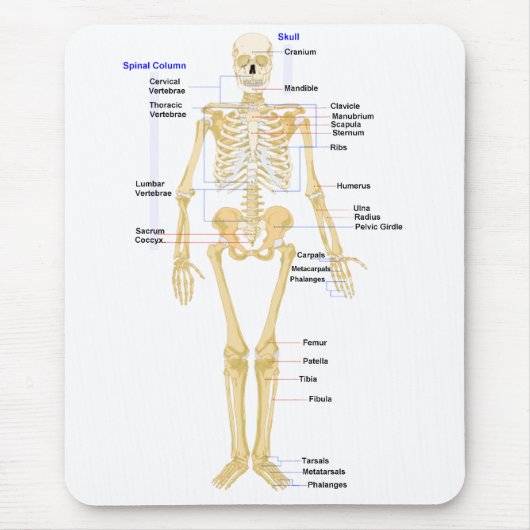 生物学のマウスパッド マウスパッド (正面)