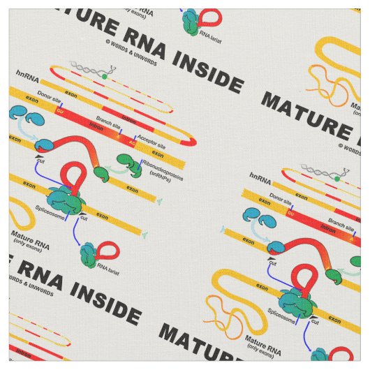 生物学のユーモアの中の成長したRNA ファブリック (クローズアップ)
