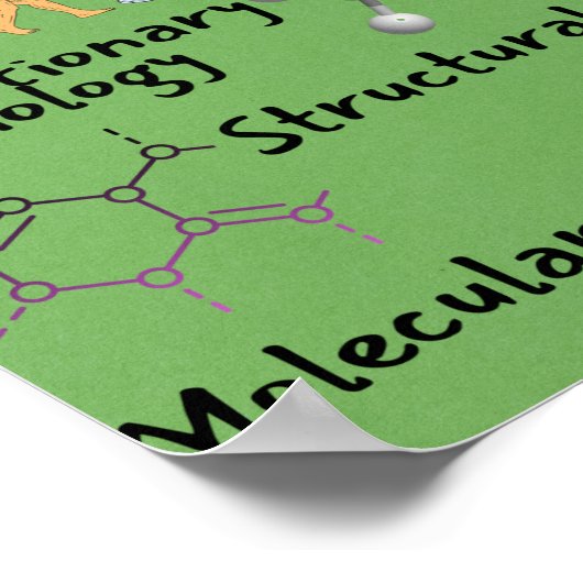 生物学の分野 ポスター (角)