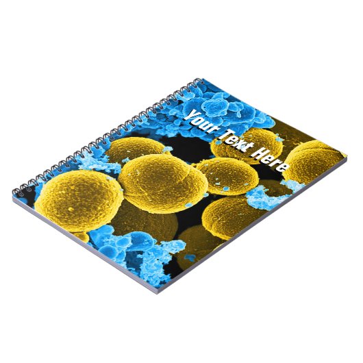 生物学の微生物学の抽象芸術のノートのテンプレート ノートブック (左側)