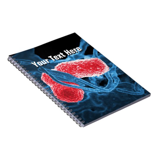 生物学の微生物学の抽象芸術のノートのテンプレート ノートブック (右側)