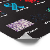 生物学のABC ポスター (角)