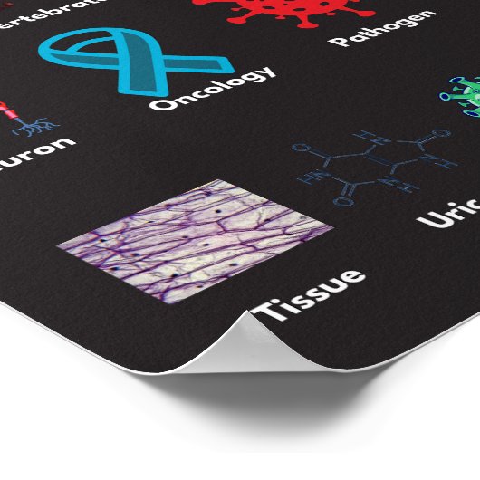 生物学のABC ポスター (角)