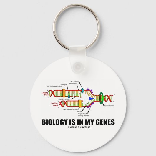 生物学は私の遺伝子にある(DNA複製) キーホルダー (正面)