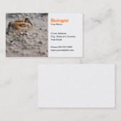 生物学者の名刺 名刺 (正面/裏面)