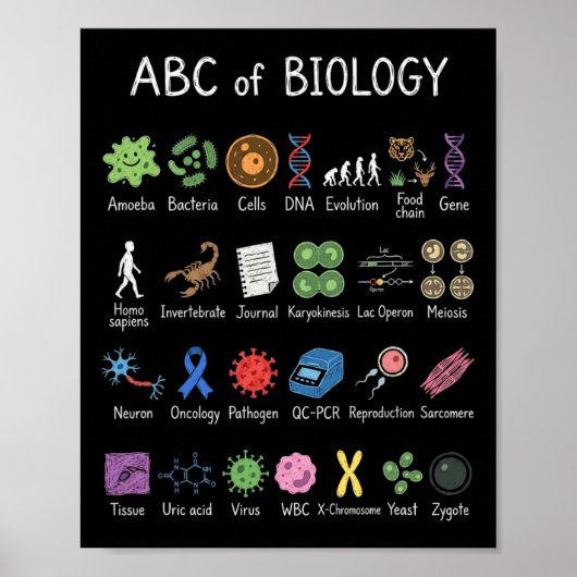 生物学 アルファベット 科学 教育 先生 生徒 ポスター (正面)