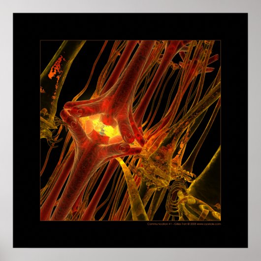 生物学：コミュニケーション#1 ポスター (正面)