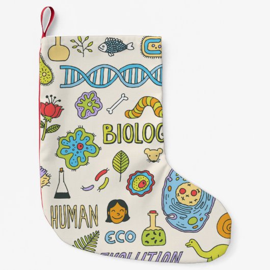 生物学。手書き。ヴィンテージイラストレーション。  スモールクリスマスストッキング (正面)