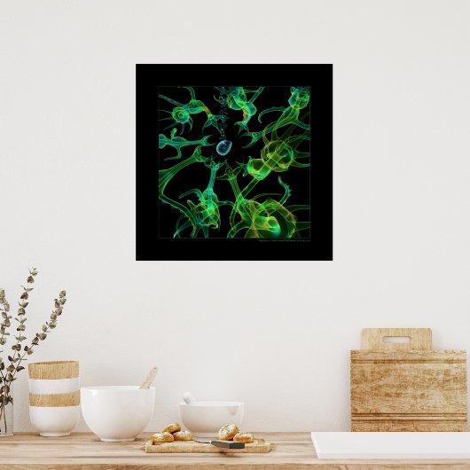 生物学：捕食 ポスター (キッチン)