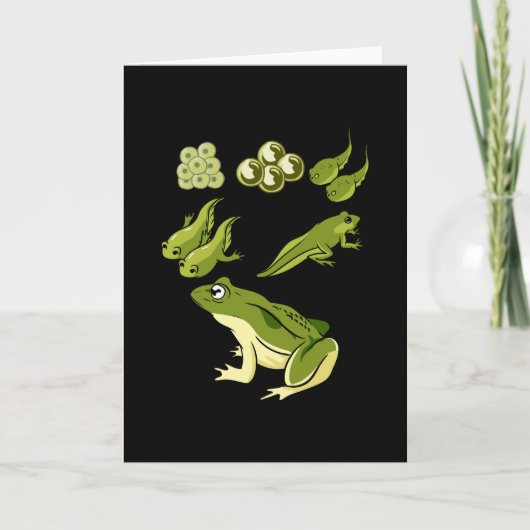生物学 – Frog Lifecycle カード (正面)