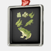 生物学 – Frog Lifecycle メタルオーナメント (左)