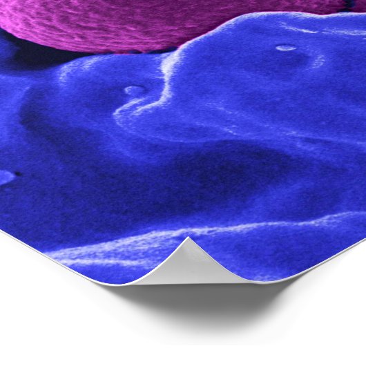 生物微生物学抽象芸術美術学 ポスター (角)