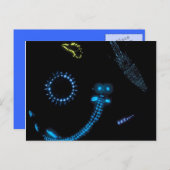 生物発光クリッター ポストカード (正面/裏面)