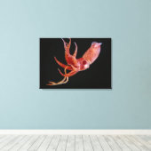 生物発光コックアイイカ(Histotiuththis hete) キャンバスプリント (インサイチュ (ウッドフロア))