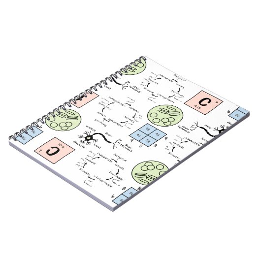 生物科学先生パターン遺伝細胞ギーク ノートブック (左側)
