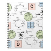 生物科学先生パターン遺伝細胞ギーク ノートブック (正面)