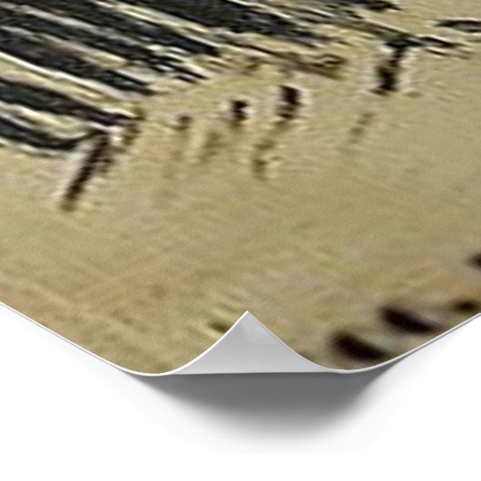 生犬 ポスター (角)