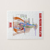 生理中の血圧調節 ジグソーパズル (横)