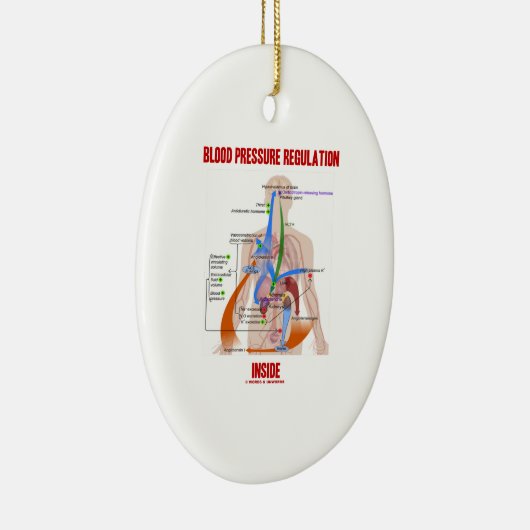 生理学の中の血圧の規則 セラミックオーナメント (右)