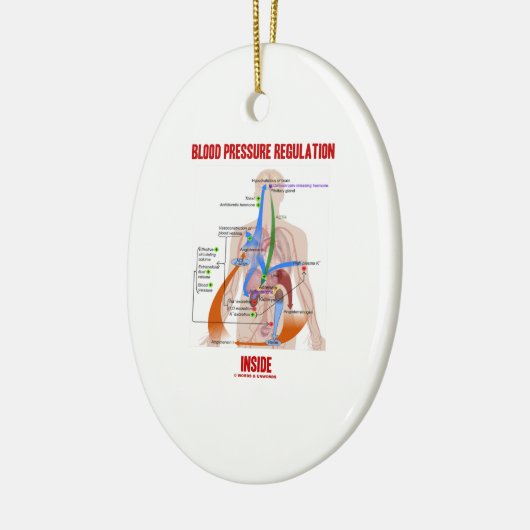 生理学の中の血圧の規則 セラミックオーナメント (左)