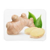 生生姜 マグネット (横)