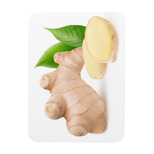 生生姜 マグネット (縦)