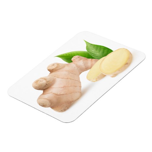 生生姜 マグネット (左側)