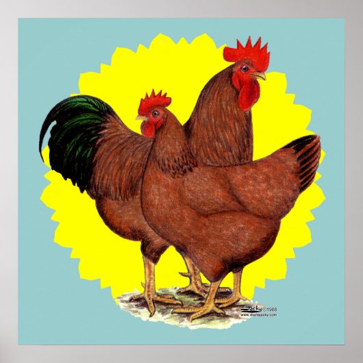 生産レッド日が差すこと ポスター (正面)