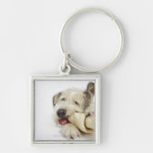 生皮の骨でかみ砕いている犬 キーホルダー (正面)
