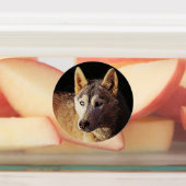 生粋の動物 ラベル (貼付)