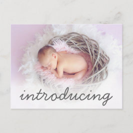 生誕発表紹介Script Photo 案内ポストカード