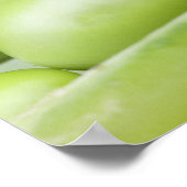 生豆オーガニック類 ポスター (角)