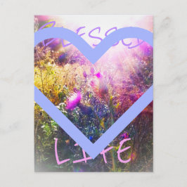 生賛美物はがき ポストカード