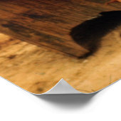 生魚を売る ポスター (角)