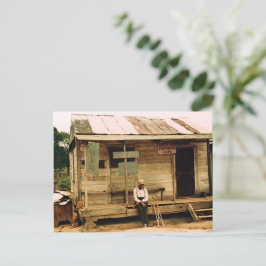 生魚を売る ポストカード (スタンド正面)