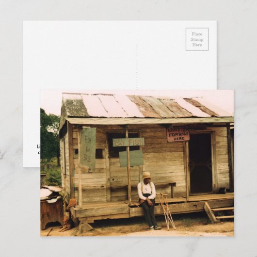 生魚を売る ポストカード (正面/裏面)