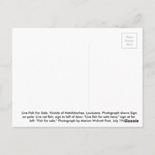 生魚を売る ポストカード (裏面)
