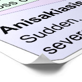 生魚類感染症の症状表 ポスター (角)